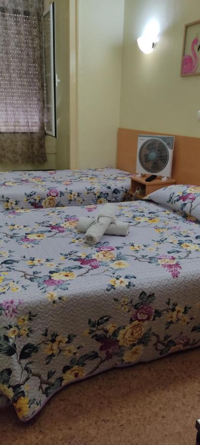 Guest house Local Pensao Rossio